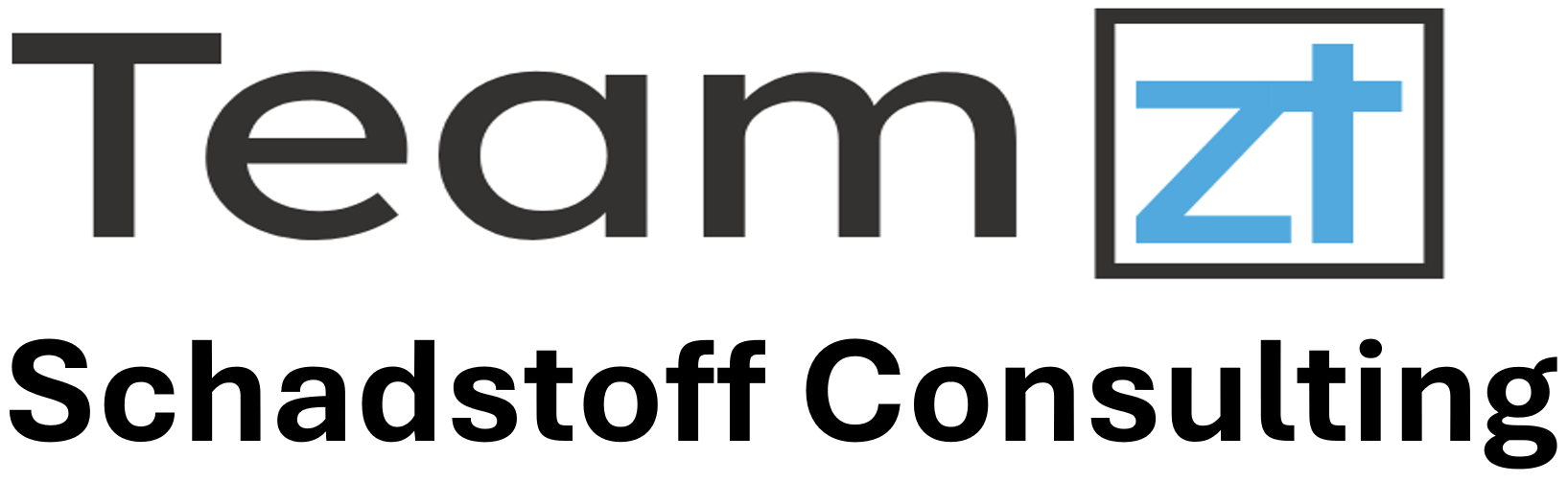 Team ZT Consulting